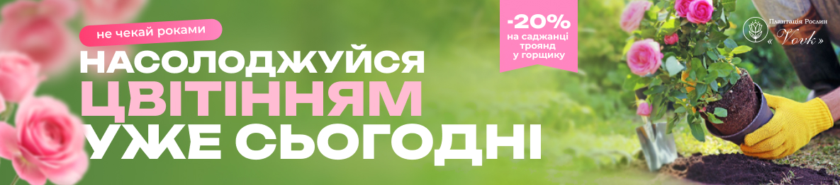 Троянди