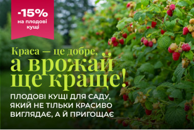 Плодові кущі