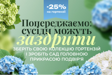 Гортензія