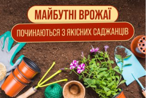 Плодові Кущі
