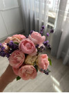 Review by Natalia_ Plantsvovk.com.ua