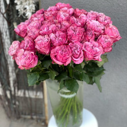 Саженцы розы Квинс Краун