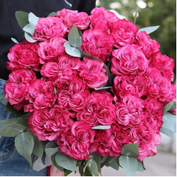 Саджанці троянди Кантрі Блюз