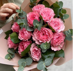 Саджанці троянди Майра Пінк