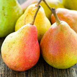 Груша Милена