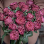Роза Меджик Вувузела