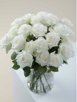 Саджанці троянди Акіто на штамбі