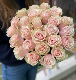 Саджанці троянди Пінк Мондіаль