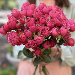 Саженцы розы Гранд Трендсеттер