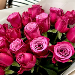 Саджанці троянди Принц Персії