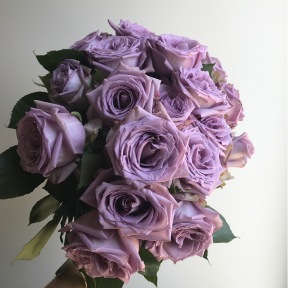 Саджанці троянди Дансінг Клаудс