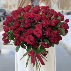 Саджанці троянди Ред Трендсеттор