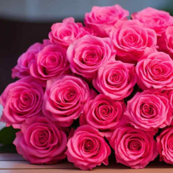 Саджанець троянди Пінк Флойд