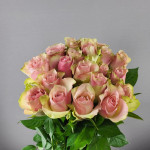 Саджанець троянди Бель Роуз