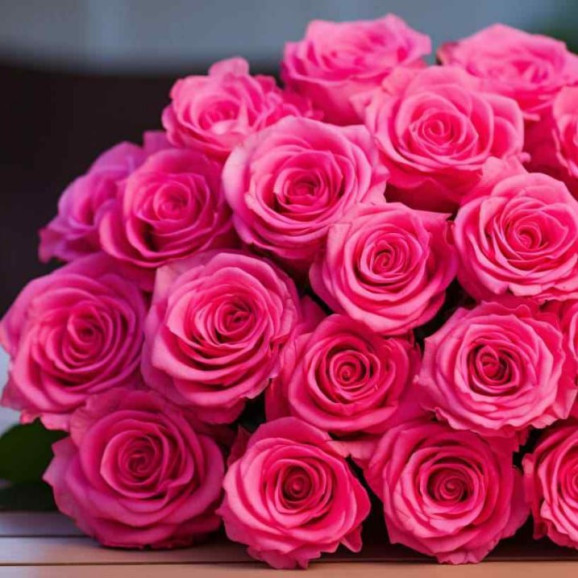 Саджанець троянди Пінк Флойд