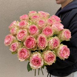 Саджанці троянди Есперанса