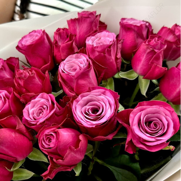 Саженцы розы Принц Персии