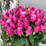 Саженцы розы Принц Персии