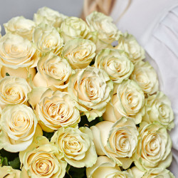 Саженцы розы Еллоу Мондиаль