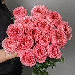 Саджанці троянди Пінк Експрешн