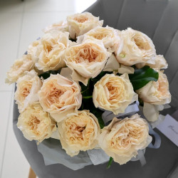 Саджанці троянди Крем Фрагранс