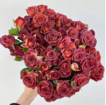 Саджанець троянди Чокочіно