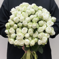 Саджанці троянди Місс Бомбастик