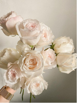 Саджанці троянди Принцеса Міюкі на штамбі