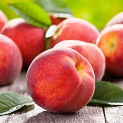 Саджанці персика Даймонд Принцес