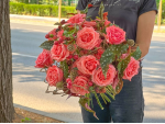 Саженцы розы Блашинг Рива