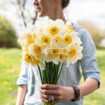 Луковицы нарцисса Flower Record