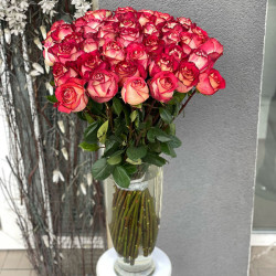 Саженцы розы Роза Игуаза